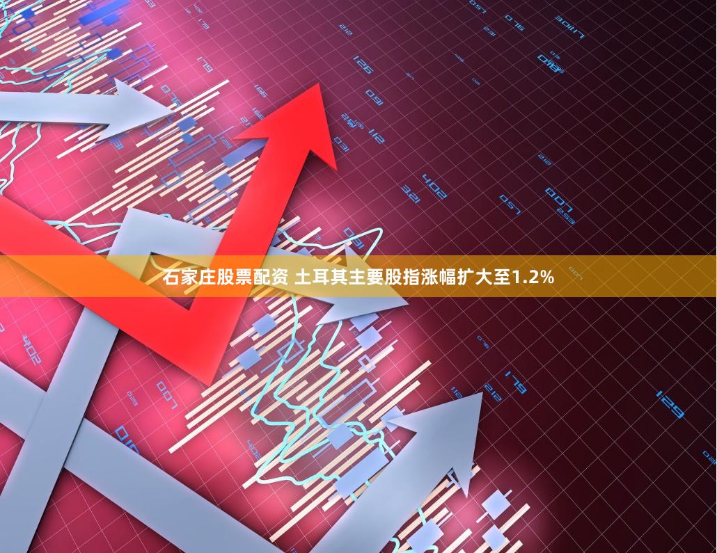 石家庄股票配资 土耳其主要股指涨幅扩大至1.2%